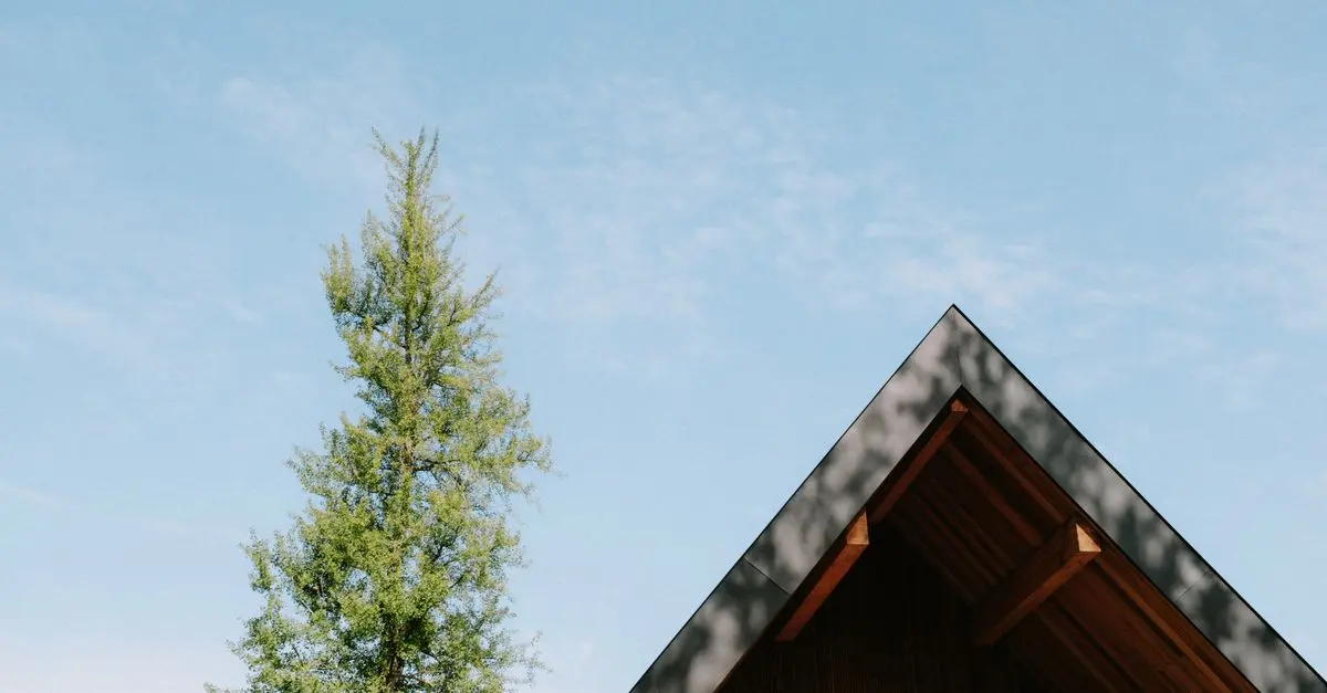 Materiali Ecologici per una Casa Sostenibile