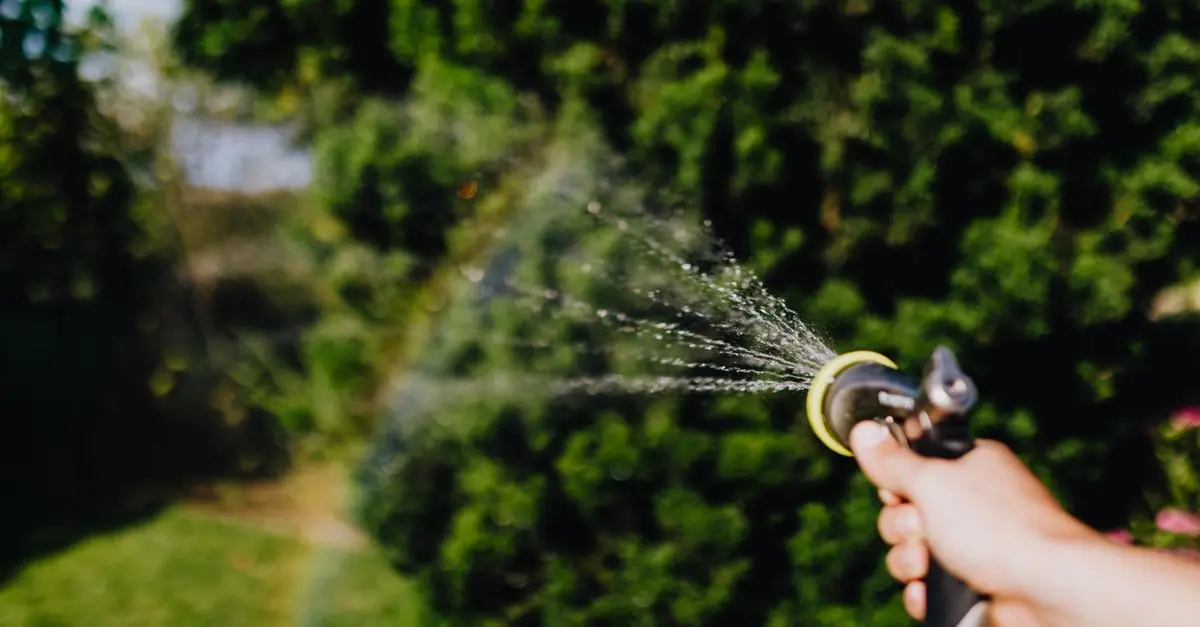 Come Realizzare un Giardino Efficiente per la Tua Casa