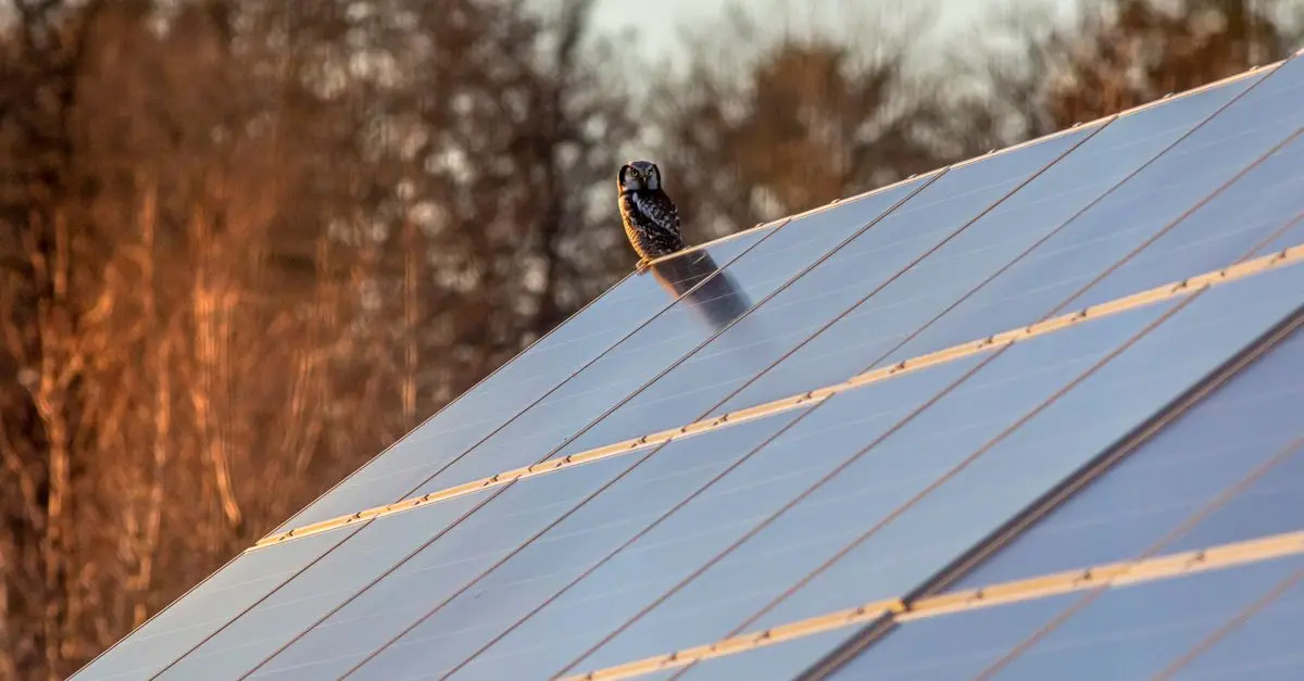Riqualificazione Energetica: Quanto Puoi Risparmiare?