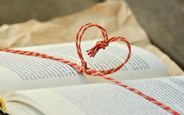 Come Scegliere i Migliori Materiali per l'Isolamento Termico